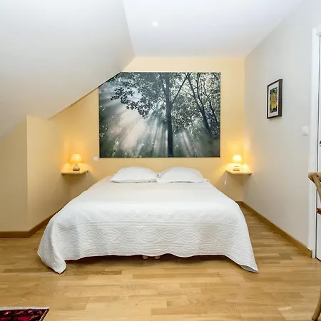 La Canopee Des Pins Bed & Breakfast Cléder