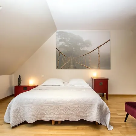 La Canopee Des Pins 3*