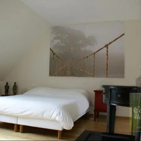 La Canopee Des Pins